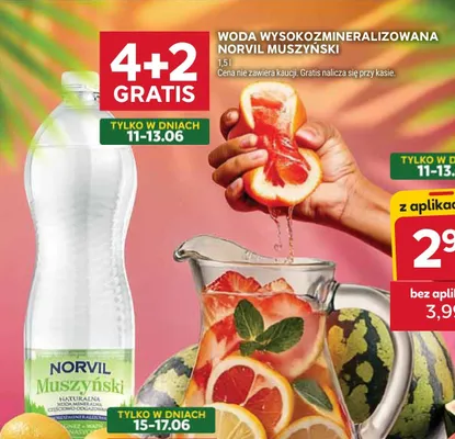 Woda wysokozmineralizowana Norvil Muszyński promocja w Stokrotka
