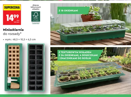 Miniszklarnia do rozsady promocja w Biedronka