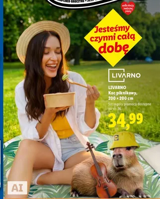 Koc piknikowy Livarno 200x200 cm promocja w Lidl