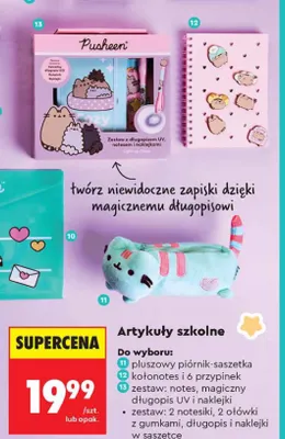 Pluszowy piórnik-saszetka Pusheen promocja w Biedronka