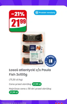 Łosoś atlantycki promocja w Dino