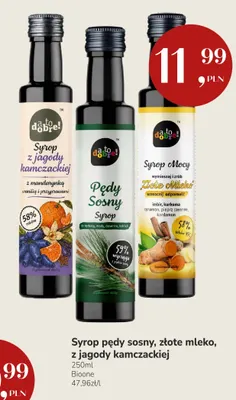 Syrop z jagody kamczackiej A to dobre! promocja w Market Point