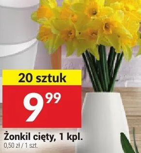 Zonkil cięty promocja w Twój Market