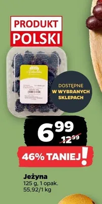 Jeżyna promocja w Netto