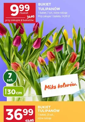 Bukiet tulipanów 25 szt. promocja w Stokrotka