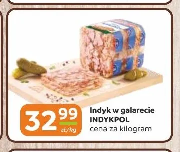 Indyk w galarecie Indykpol promocja w Gama