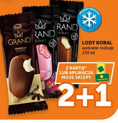 Lody wybrane rodzaje promocja w Euro Sklep