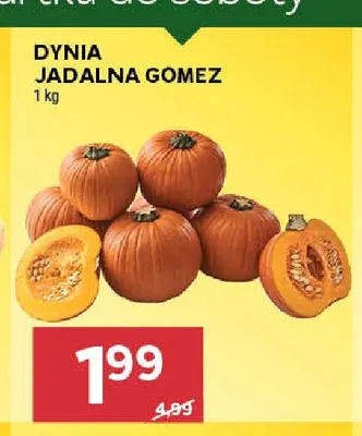 Dynia jadalna Gomez promocja w Stokrotka
