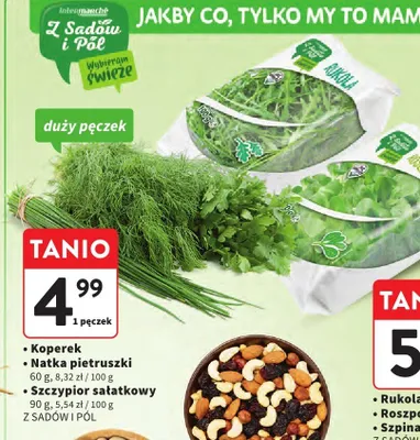 Szczypior sałatkowy Z Sadów i Pól duży pęczek promocja w Intermarche