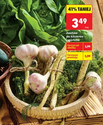 Zestaw do kiszenia ogórków promocja w Biedronka