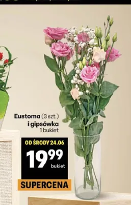Eustoma i gipsówka promocja w Delikatesy Centrum
