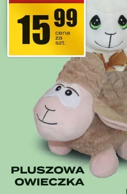 Pluszowa owieczka promocja w Supeco
