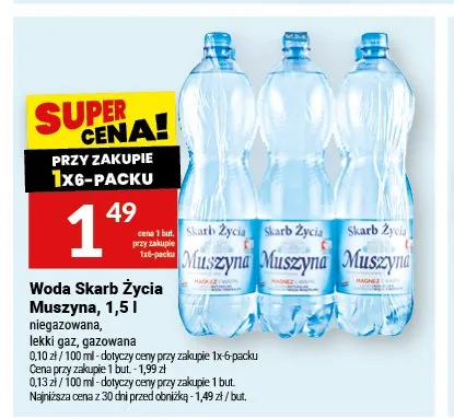 Woda gazowana Skarb Życia Muszyna 6-pak promocja w Twój Market