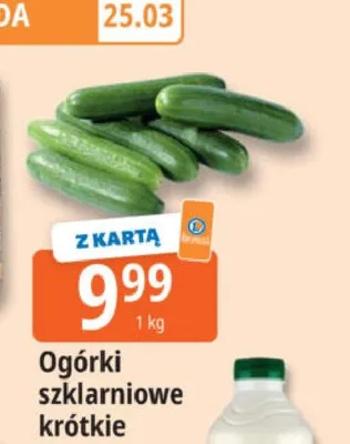 Ogórki szklarniowe krótkie promocja w Leclerc