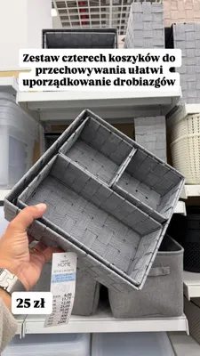 Zestaw koszyków do przechowywania Pepco Home promocja w Pepco