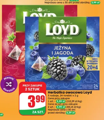 Herbatka owocowa Loyd promocja w Dino