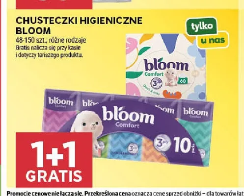 Chusteczki higieniczne Bloom promocja w Stokrotka