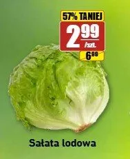 Sałata lodowa promocja w API Market
