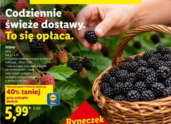 Jeżyny Ryneczek Lidla promocja w Lidl