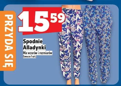 Spodnie Alladynki promocja w TOPAZ