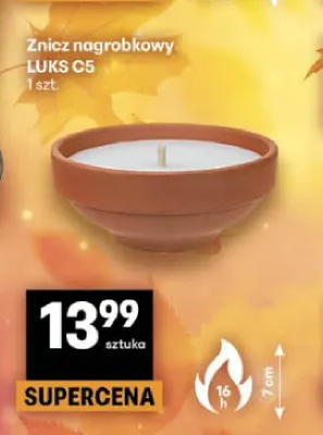 Znicz nagrobkowy Luks C5 promocja w Delikatesy Centrum