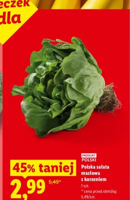 Sałata masłowa z korzeniem polska Ryneczek Lidla promocja w Lidl