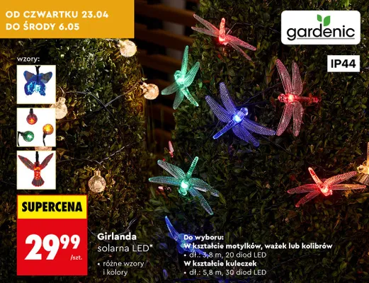 Girlanda solarna LED promocja w Biedronka
