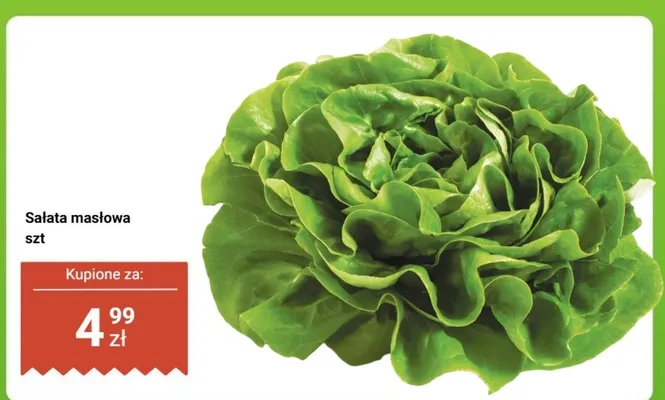 Sałata masłowa 1 szt. promocja w Dino