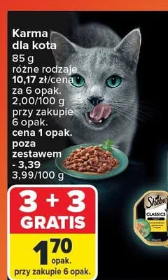 Karma dla kota w sosie z łososiem Friskies purina Purina friskies promocja w Carrefour