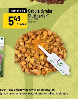 Cebula dymka Stuttgarter W.Legutko promocja w POLOmarket