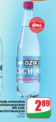 Woda mineralna gazowana niskonasycona WK Dzik Cechini Muszyna promocja w Dino