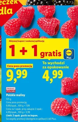 Polskie maliny promocja w Lidl