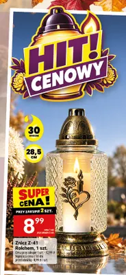 Znicz Z-41 Rolchem promocja w Twój Market