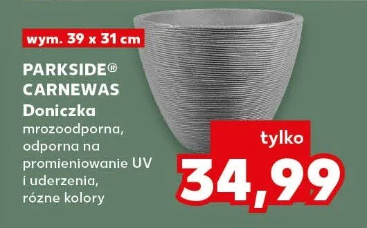 Doniczka Carnewas promocja w Kaufland