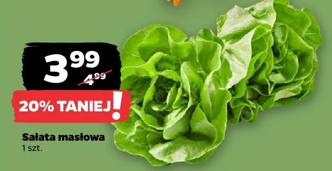 Sałata masłowa promocja w Netto