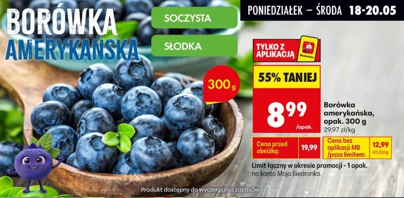 Borówka amerykańska promocja w Biedronka
