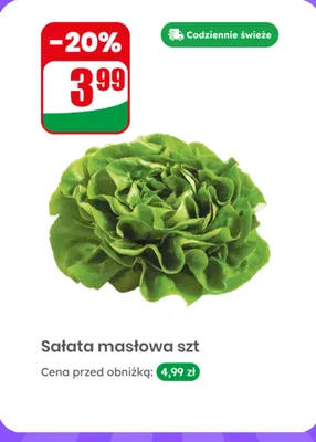 Sałata masłowa promocja w Dino
