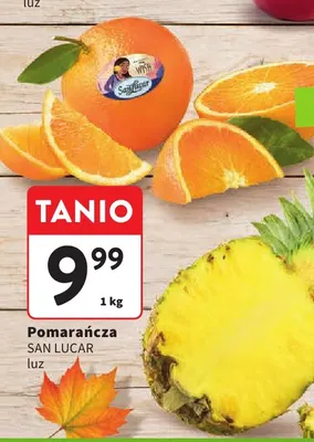 Pomarańcze SanLucar promocja w Intermarche