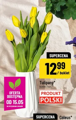 Tulipany polskie bukiet 7-pak promocja w POLOmarket