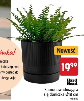 Doniczka samonawadniająca się Hard Head Ø18 cm promocja w Jula