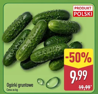 Ogórki gruntowe promocja w Aldi