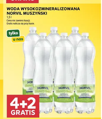 Woda gazowana wysokozmineralizowana Norvil Muszyński promocja w Stokrotka