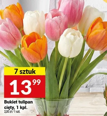 Bukiet tulipan cięty 7 sztuk promocja w Twój Market