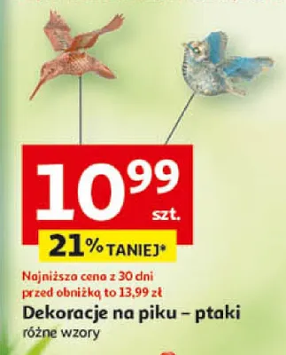Dekoracje na piku – ptaki promocja w Auchan