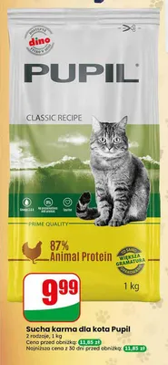 Sucha karma dla kota Pupil Classic Recipe promocja w Dino