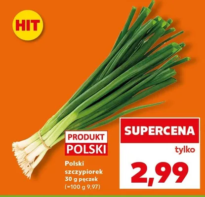 Szczypiorek pęczek promocja w Kaufland