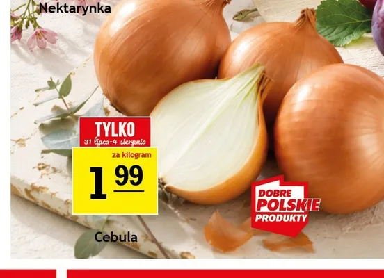 Cebula promocja w Gram Market