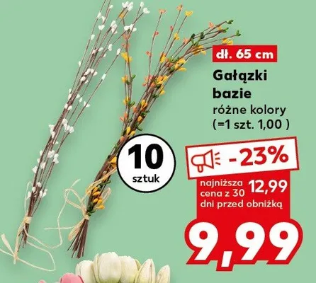 Gałązki bazie różne kolory promocja w Kaufland