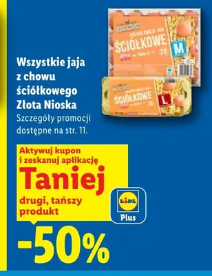 Jaja z chowu ściółkowego Złota Nioska 20 szt promocja w Lidl