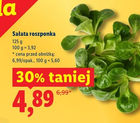 Sałata roszponka promocja w Lidl